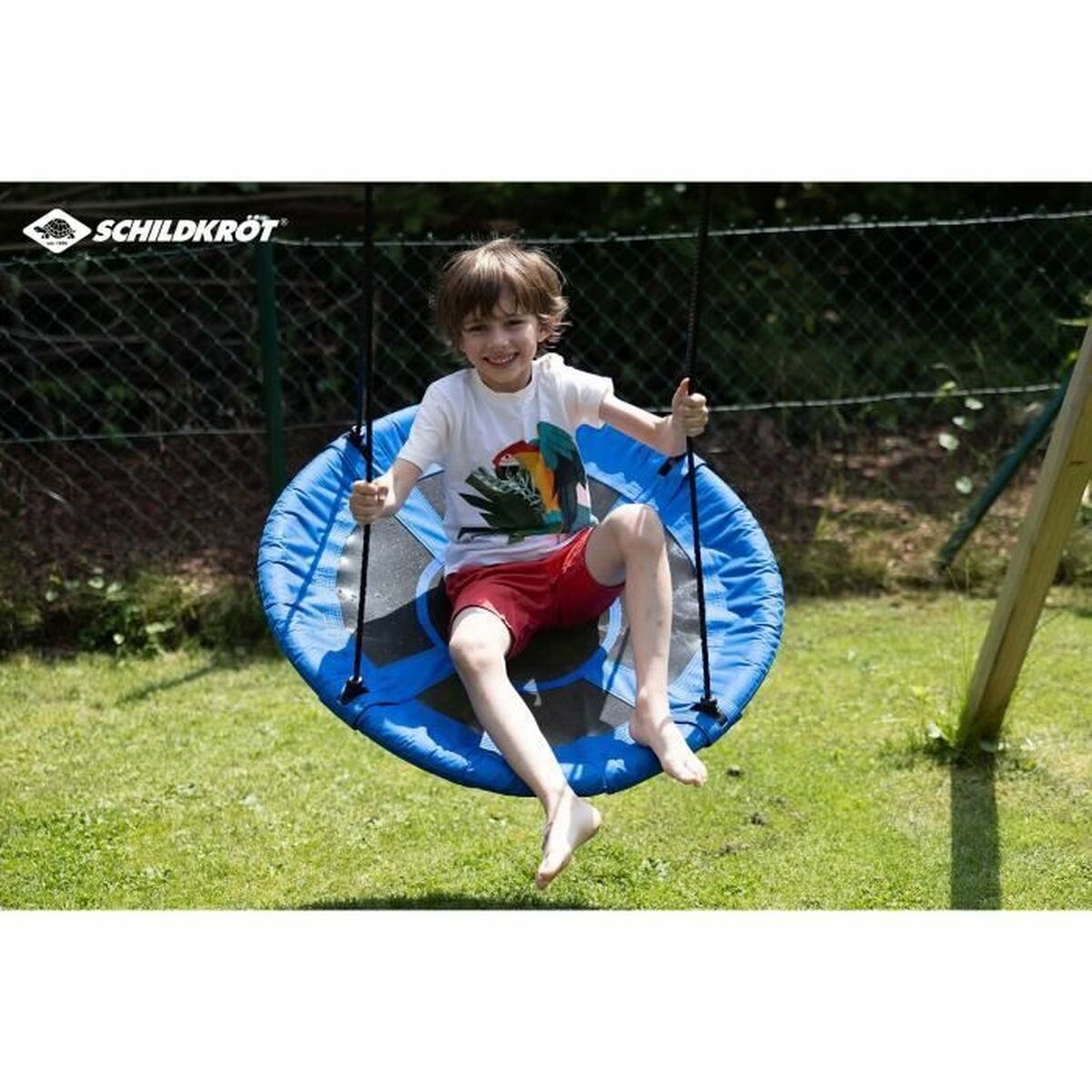 Schildkröt Kiiktool Schildkröt