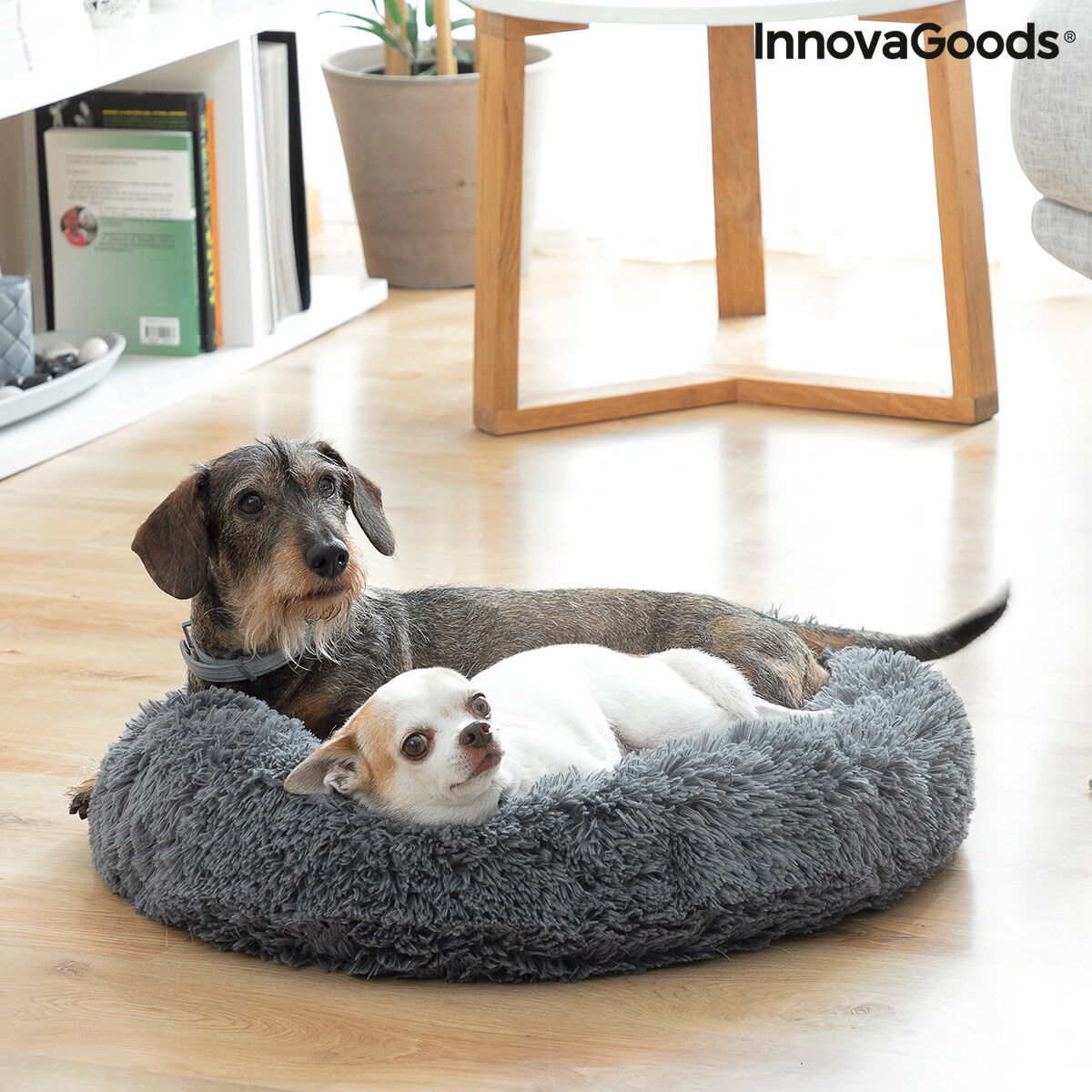 Innovagoods Stressivastane Lemmiklooma Voodi Bepess Innovagoods Ø 60 Cm