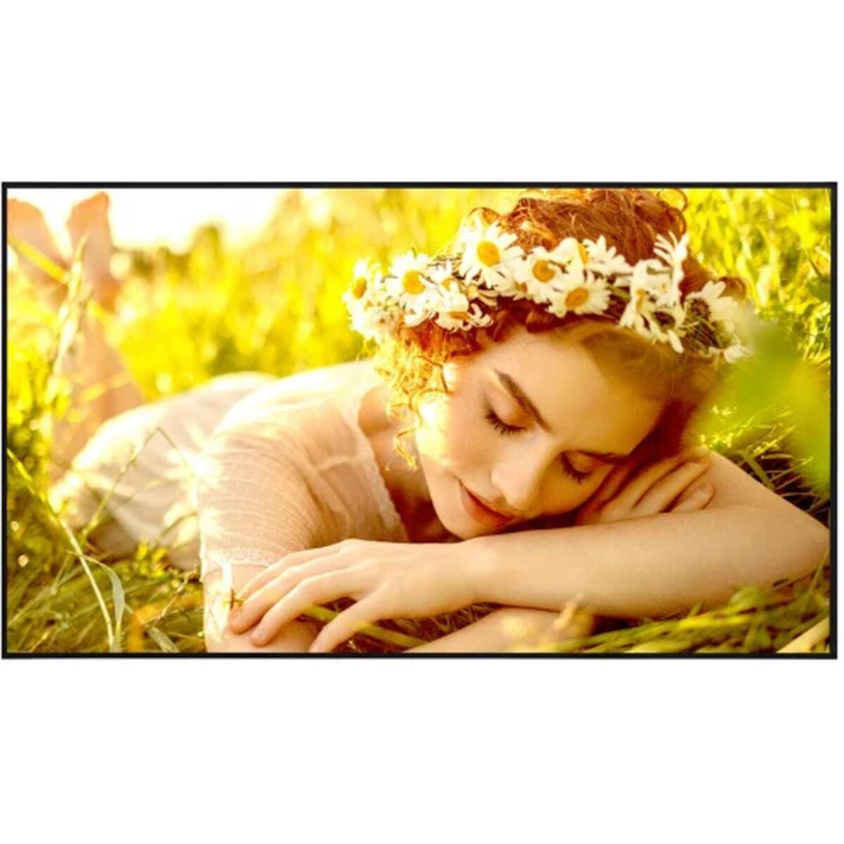 Lg Videowall Monitor Lg 75Ul5Q-E.aeuq 4K Ultra Hd 75"