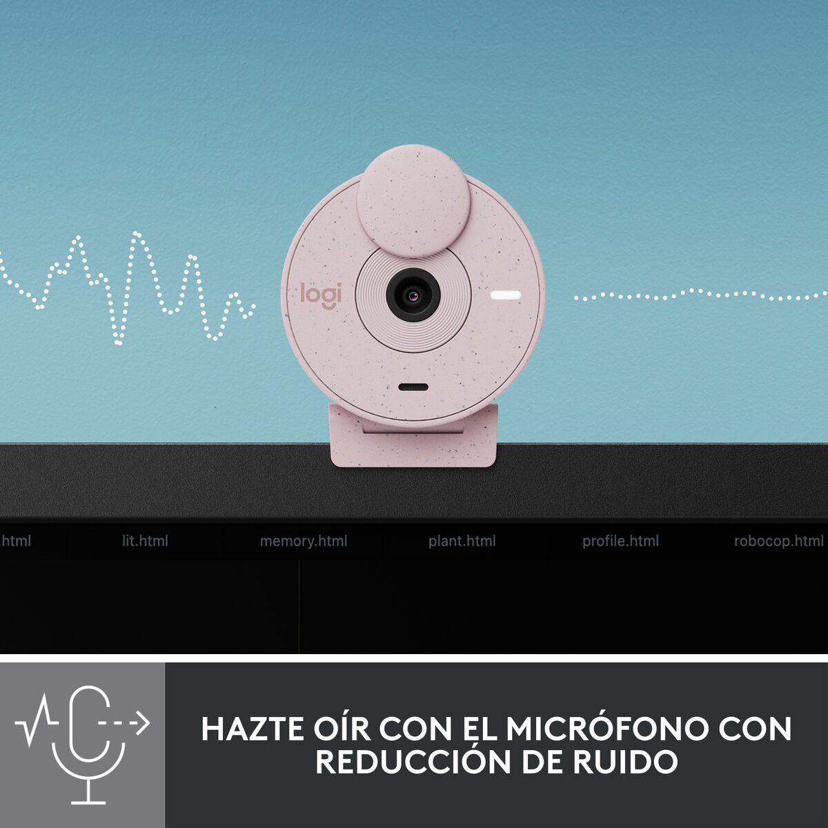 Logitech Veebikaamera Logitech Brio 300