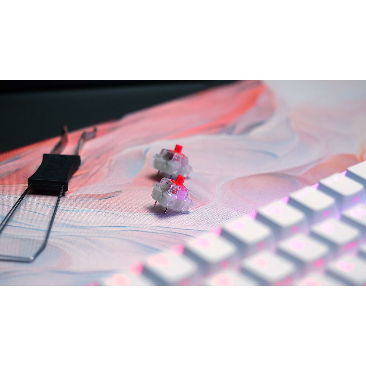 Cherry Klaviatuur Ja Hiir Cherry Cxk5V2Rgbcpttpwhtrfr