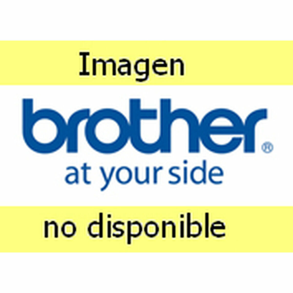 Brother Printeri Sisendsahtel Brother Ld4F000080040I